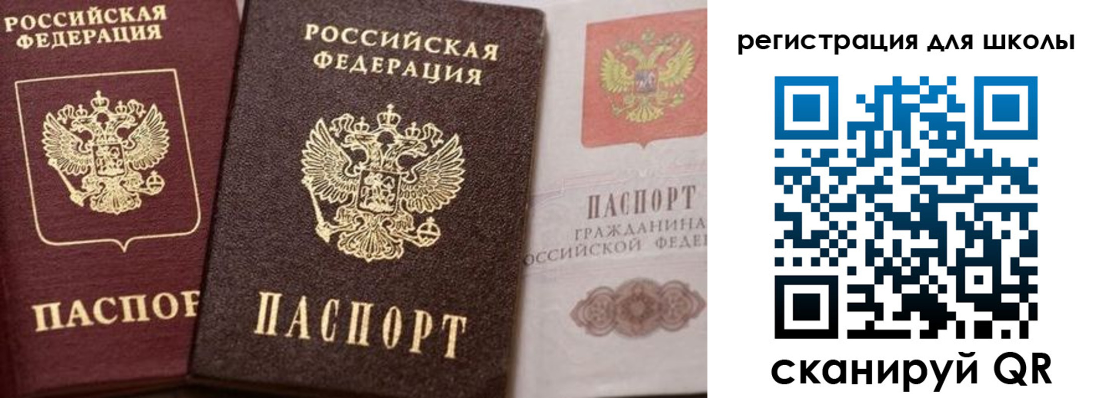 прописка штамп в Зверево